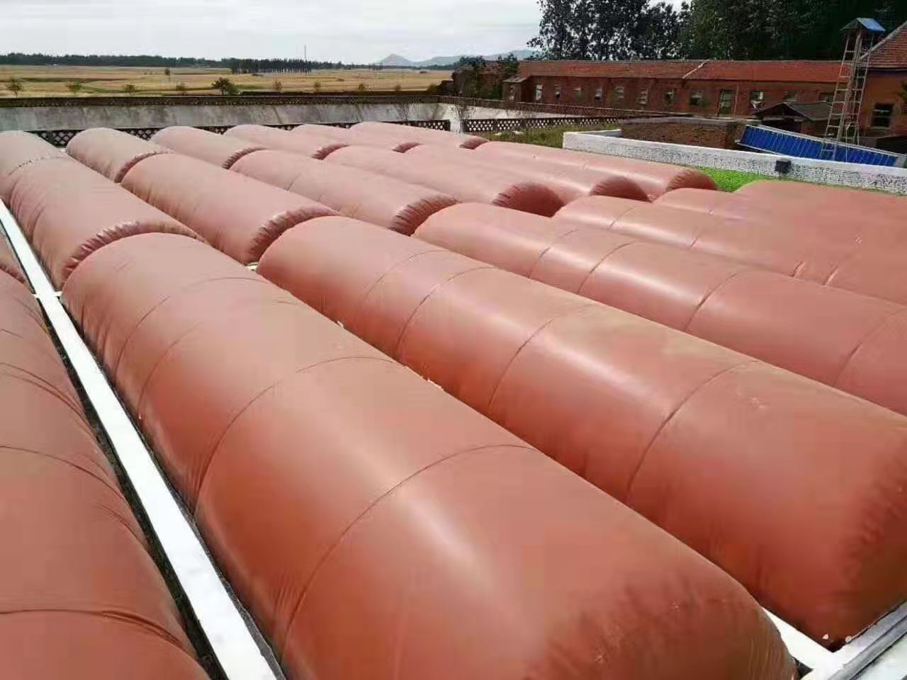 300a45e37dd66a89af3bf6328993e41